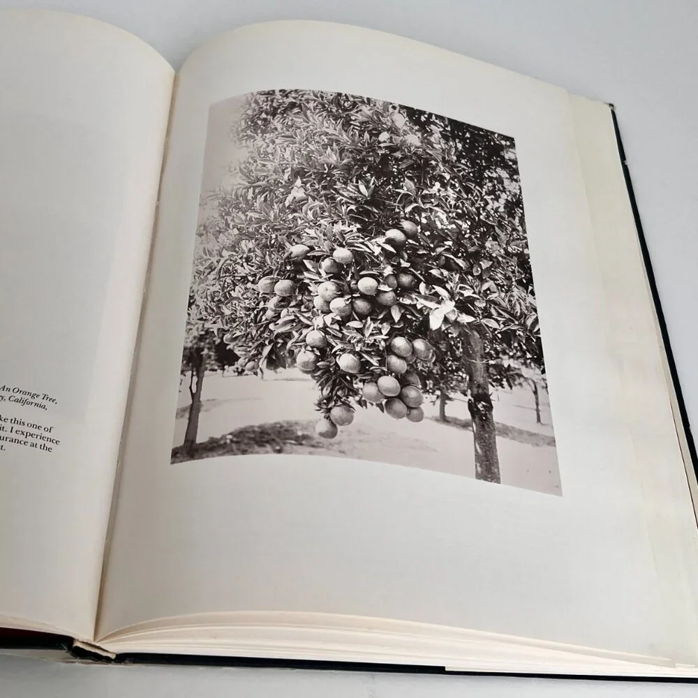 A Ten Year Salute Selection of Photographs Witkin Gallery 1979 Hardcover w/ DJ